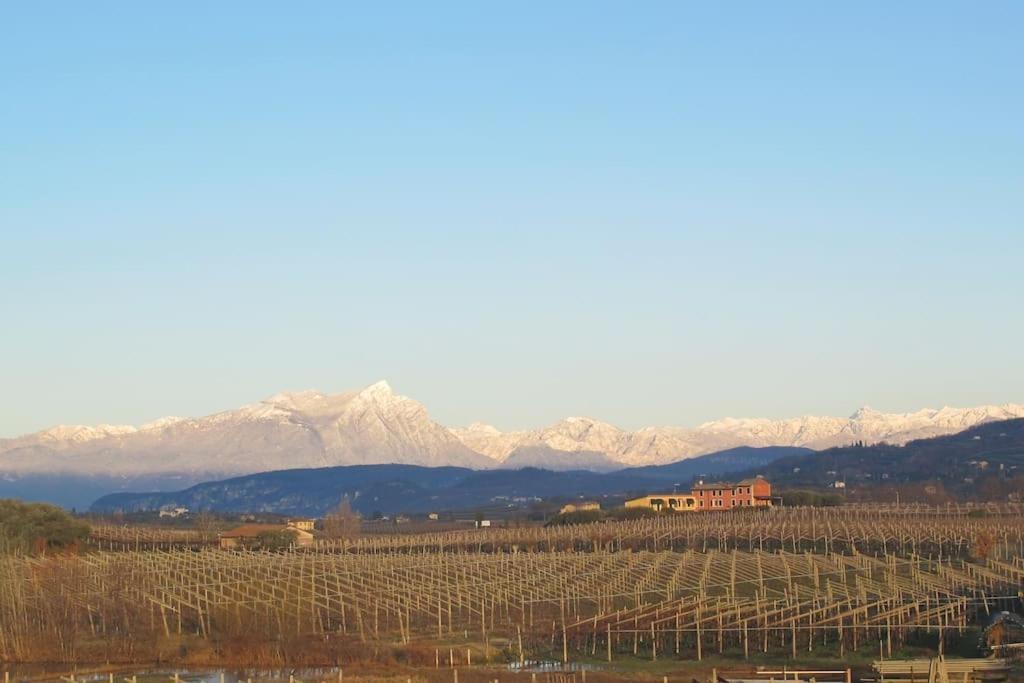 Country Apartment, Near Bardolino And Lazise Calmasino Екстериор снимка